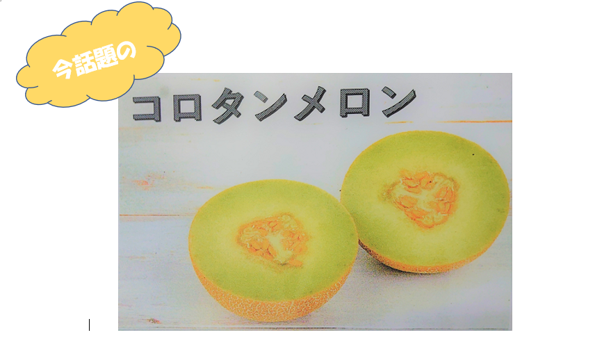 コロタンメロン